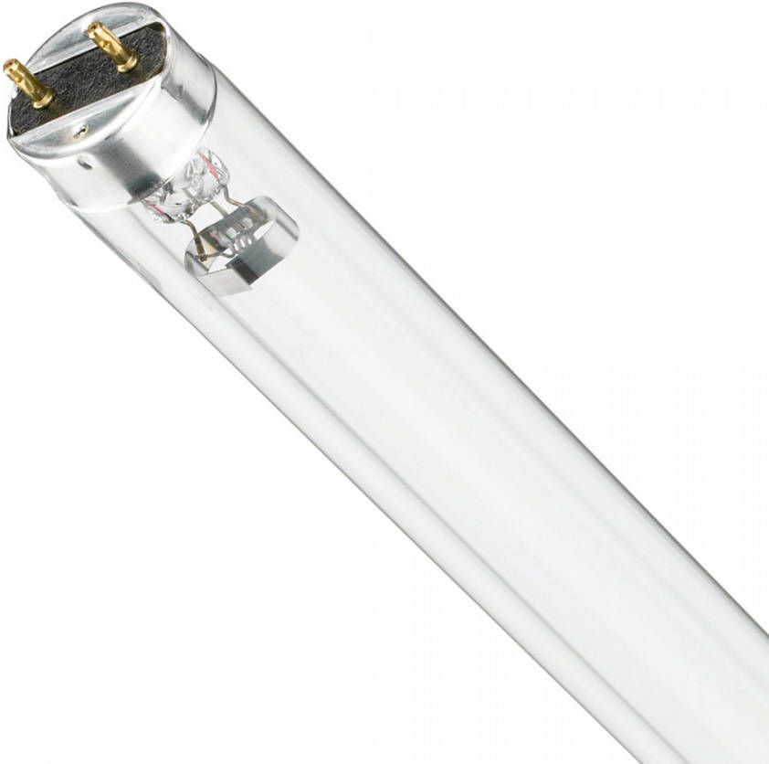 Philips T8 UV C 17W Ultraviolet | 60cm